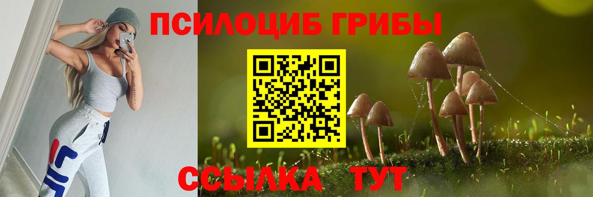 Вязьма  Псилоцибиновые грибы Magic Shrooms  Вход с VPN 